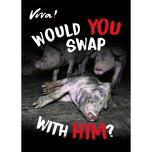 Would You Swap With Him? Leaflets x 50 Viva! Shop