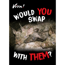Would You Swap With Them? Leaflets x 50 Viva! Shop