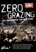 Zero Grazing: Life Imprisonment For Dairy Cows Leaflets x 50 Viva! Shop