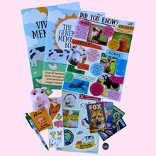 🐷 Ziggy the Piggy – Viva! Gen Gift Bundle (Under 11s)