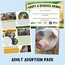 Adult Adoption Pack - Adopt Nelson the Pig - Adoption Scheme - Viva! Shop
