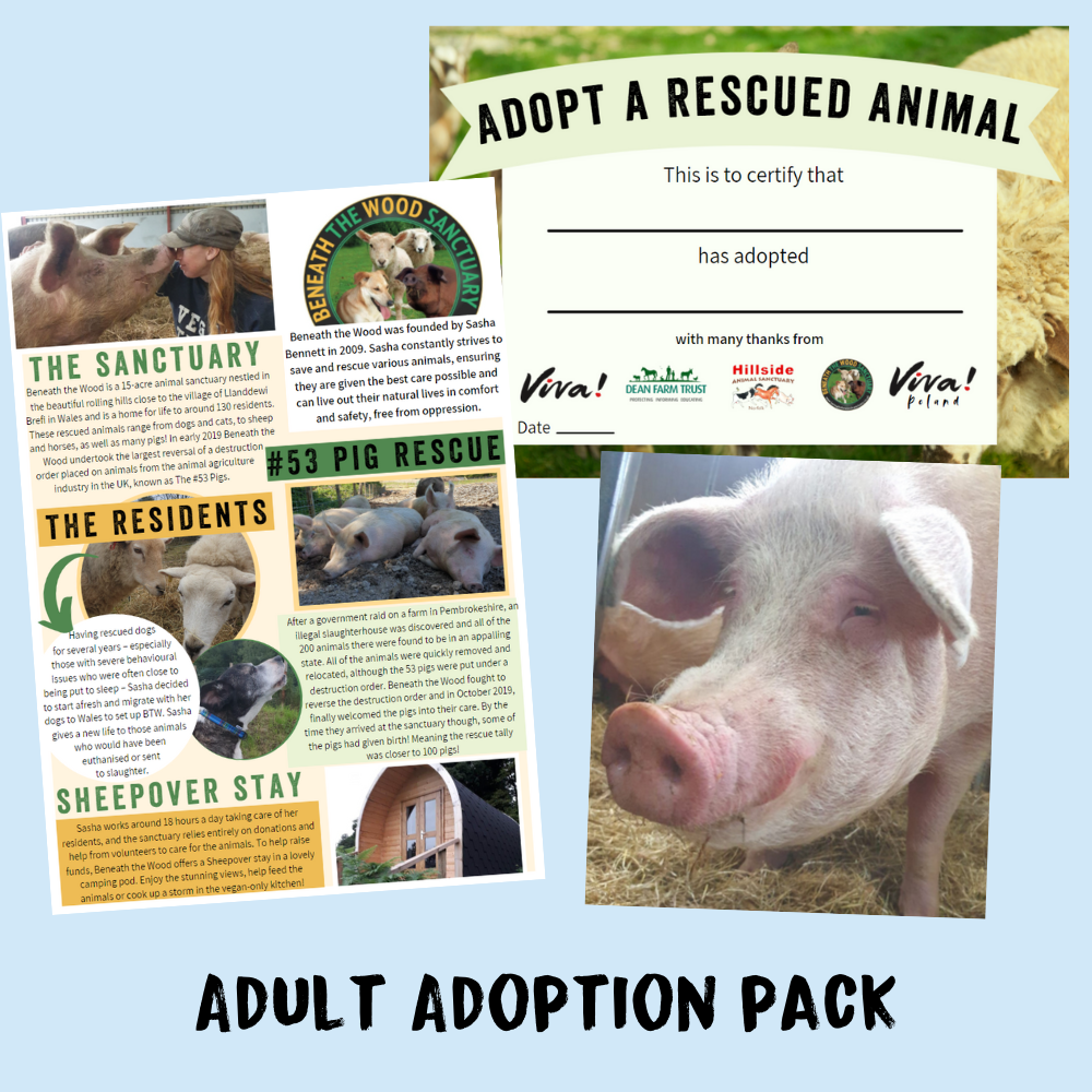 Adult Adoption Pack - Adopt Rodney and Laces the Pigs - Adoption Scheme - Viva! Shop