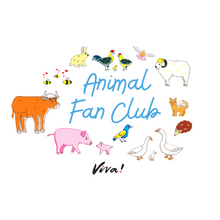 Animal Fan Club Women’s Slim Fit Jersey Tee - White Viva! Shop