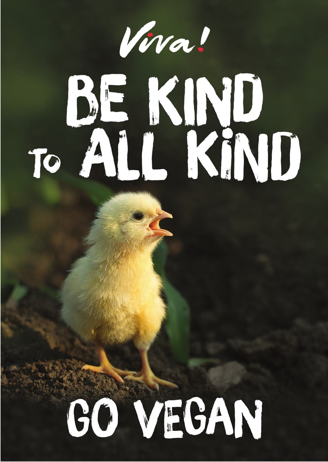 Viva! Be Kind to All Kind Chick Poster Viva! Shop