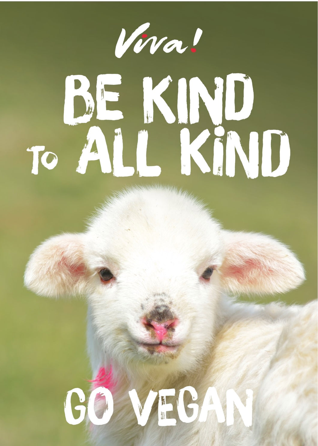 Viva! Be Kind to All Kind Lamb Poster Viva! Shop