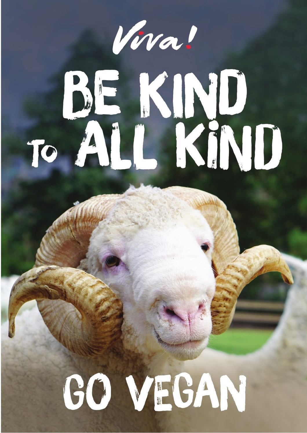 Viva! Be Kind to All Kind Sheep Poster Viva! Shop