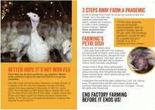 Bird Flu Birthplace Of The Next Pandemic Leaflet x 50 Viva! Shop