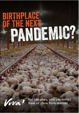 Bird Flu Birthplace Of The Next Pandemic Leaflet x 50 Viva! Shop