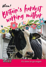 Britain's Hardest Working Mother Leaflets x 50 Viva! Shop