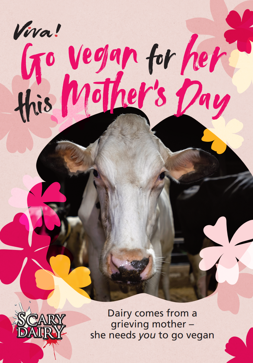 Go Vegan For Her This Mother's Day Leaflets x 50 Viva! Shop