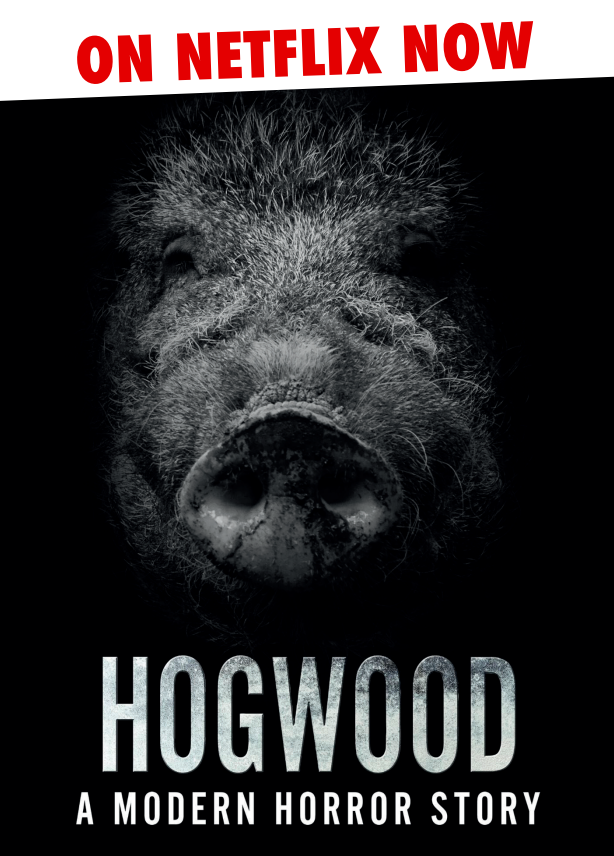 HOGWOOD – A Modern Horror Story Now On Netflix Leaflet Viva! Shop