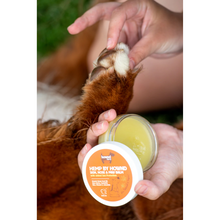 HOWND Hemp by Hownd Skin, Nose and Paw Balm with Sun Protection 50g Viva! Shop