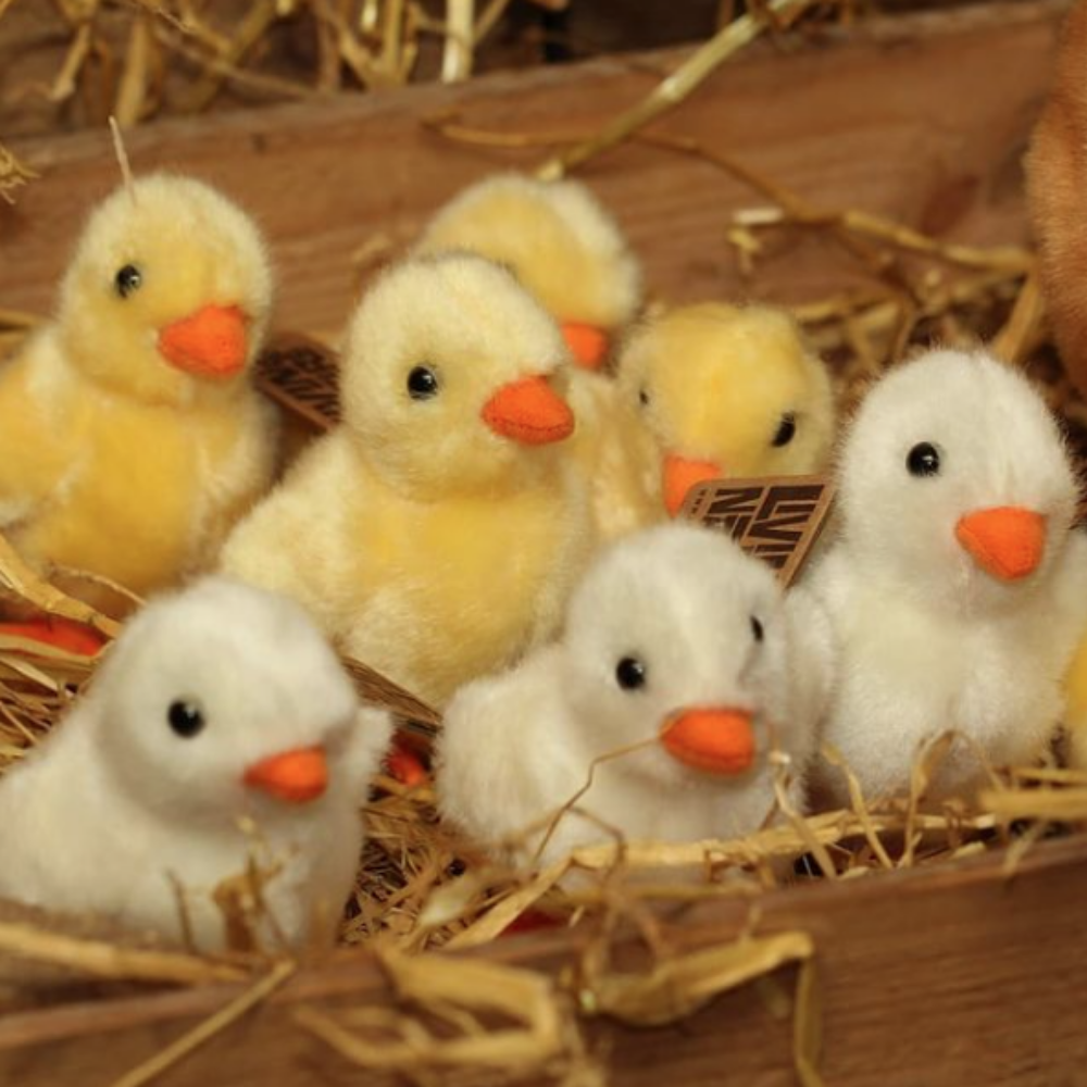 Nature babies top soft toys