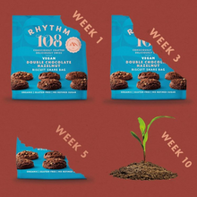 Rhythm 108 Organic Coconut Cookie Tea Biscuits Sharing Bag 135g Viva! Shop