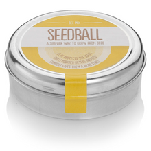 Seedball Bee Mix Tin Viva! Shop