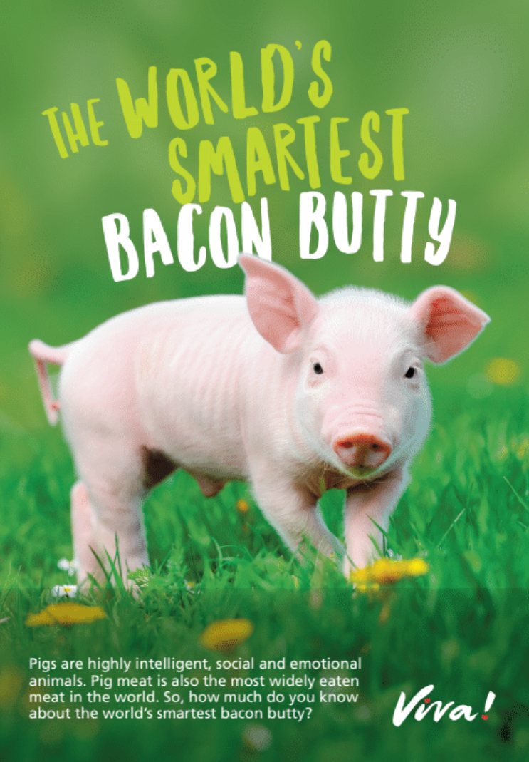 The World's Smartest Bacon Butty Leaflets x 50 Viva! Shop