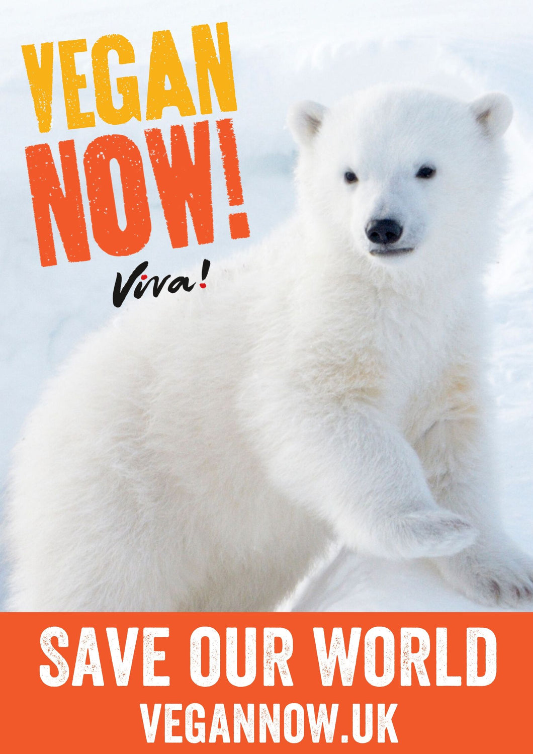 Vegan Now! Polar Bear Poster Viva! Shop