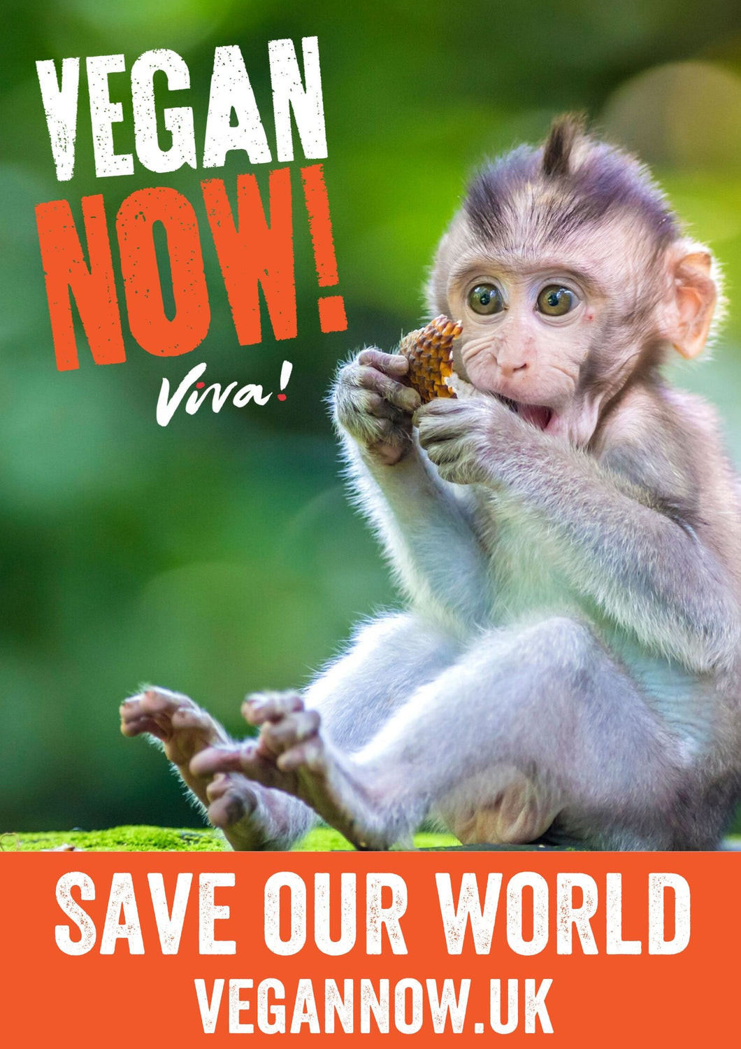 Vegan Now! Monkey Poster Viva! Shop