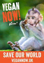 Vegan Now! Poster Set Viva! Shop