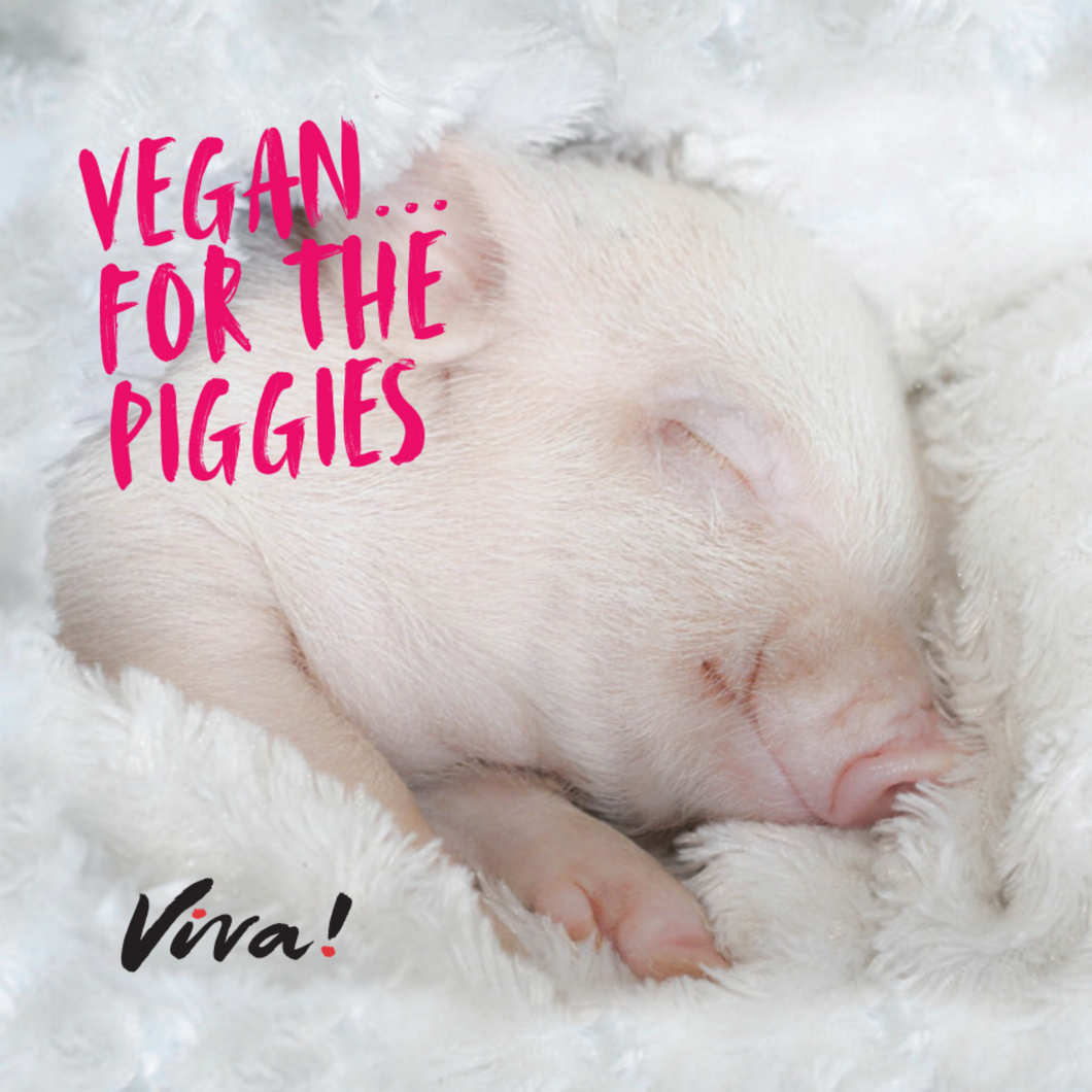 Vegan For The Piggies Square Magnet Viva! Shop