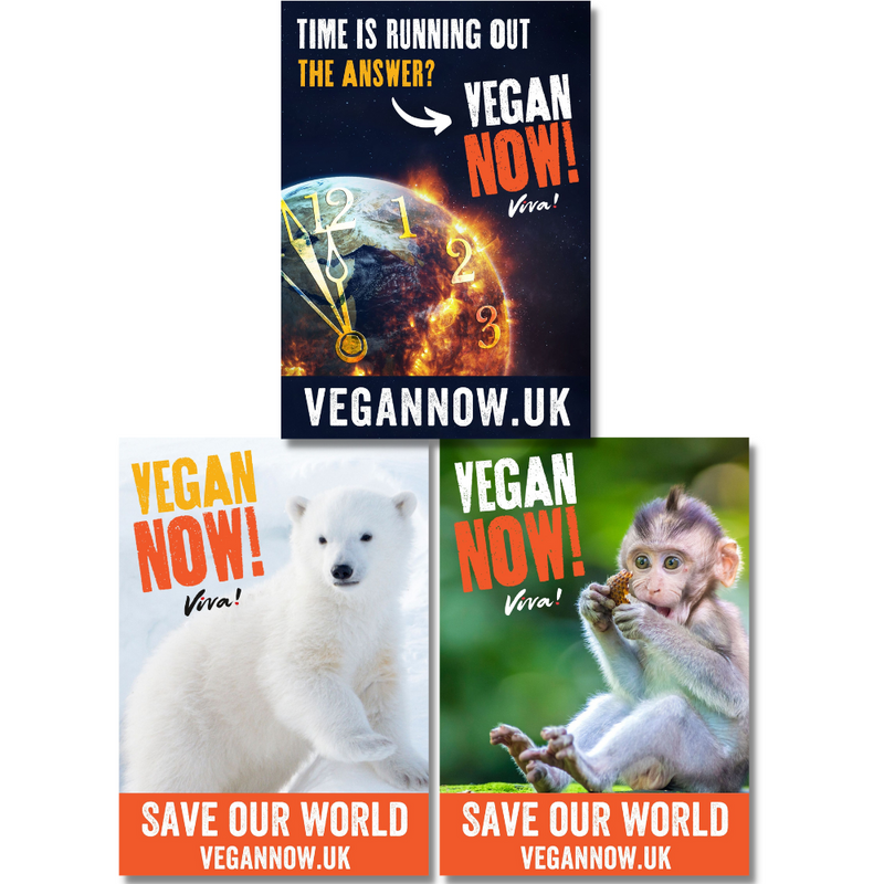 Our New Vegan for the Planet Guide is Out Now! - Viva!