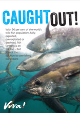 Caught Out: Fish Leaflet x 50 Viva! Shop