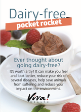 Dairy-free Pocket Rocket Leaflets Viva! Shop